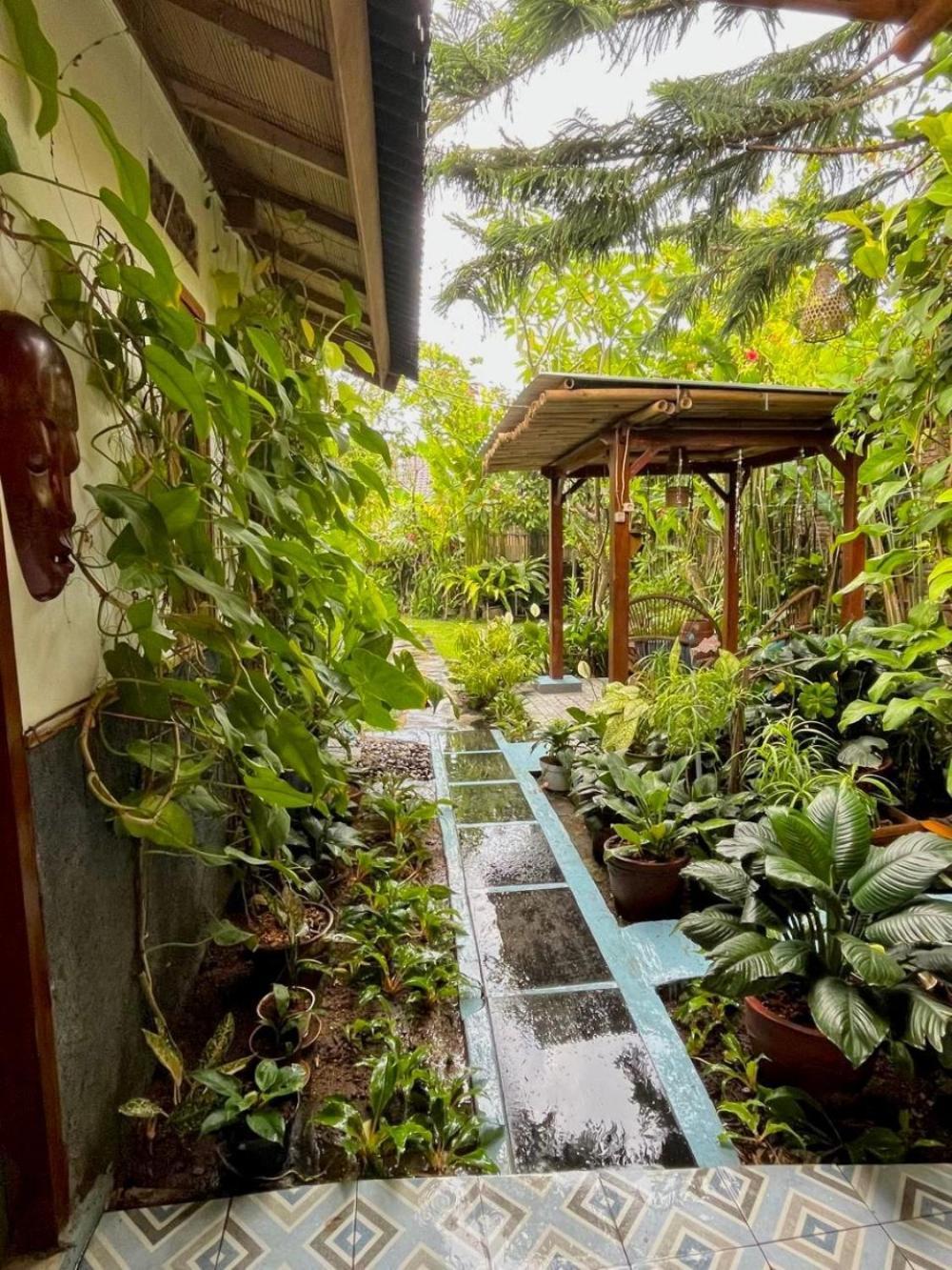 Frangipani Garden छुट्टी का घर Senggigi